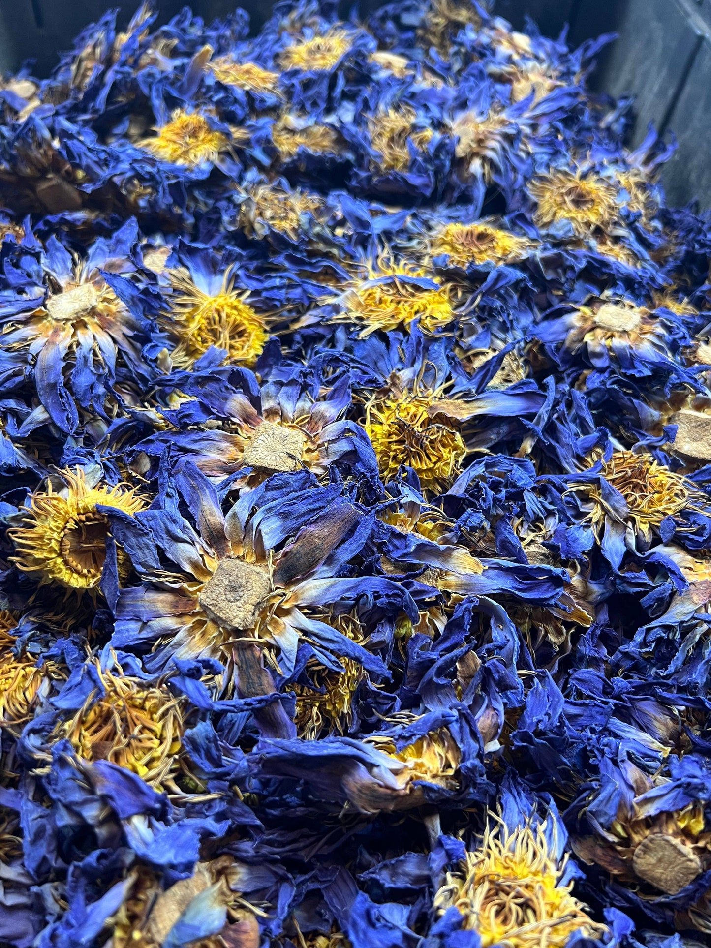 Blue Lotus Whole Flower - 1oz.