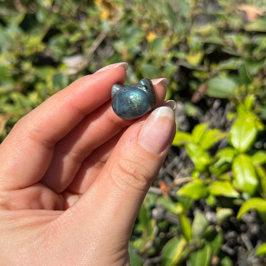 Mini Carved Labradorite Kitty
