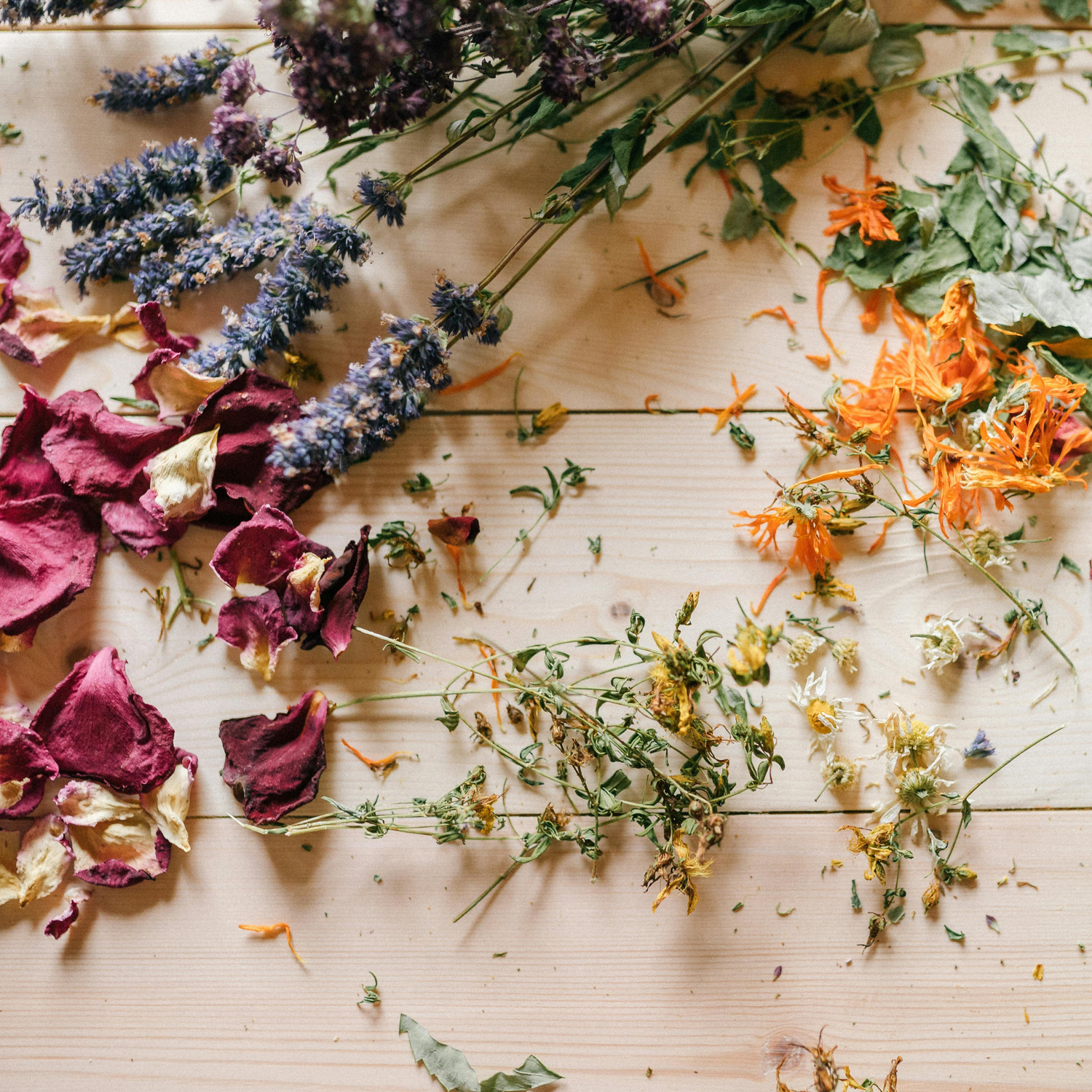 Holistic Wellness