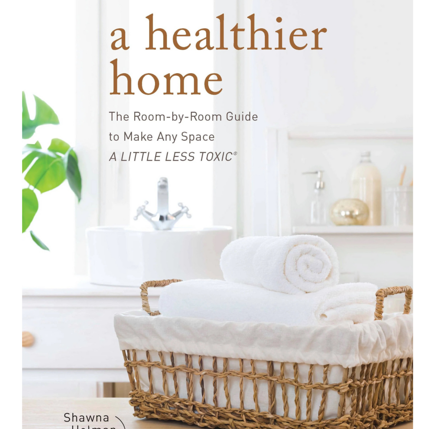 Healthier Home