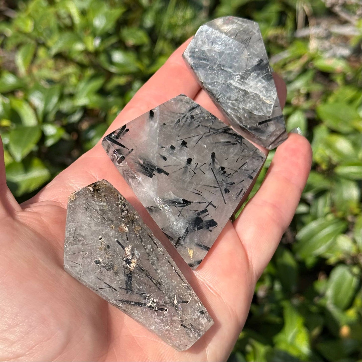 Tourmaline in Quartz Freeform