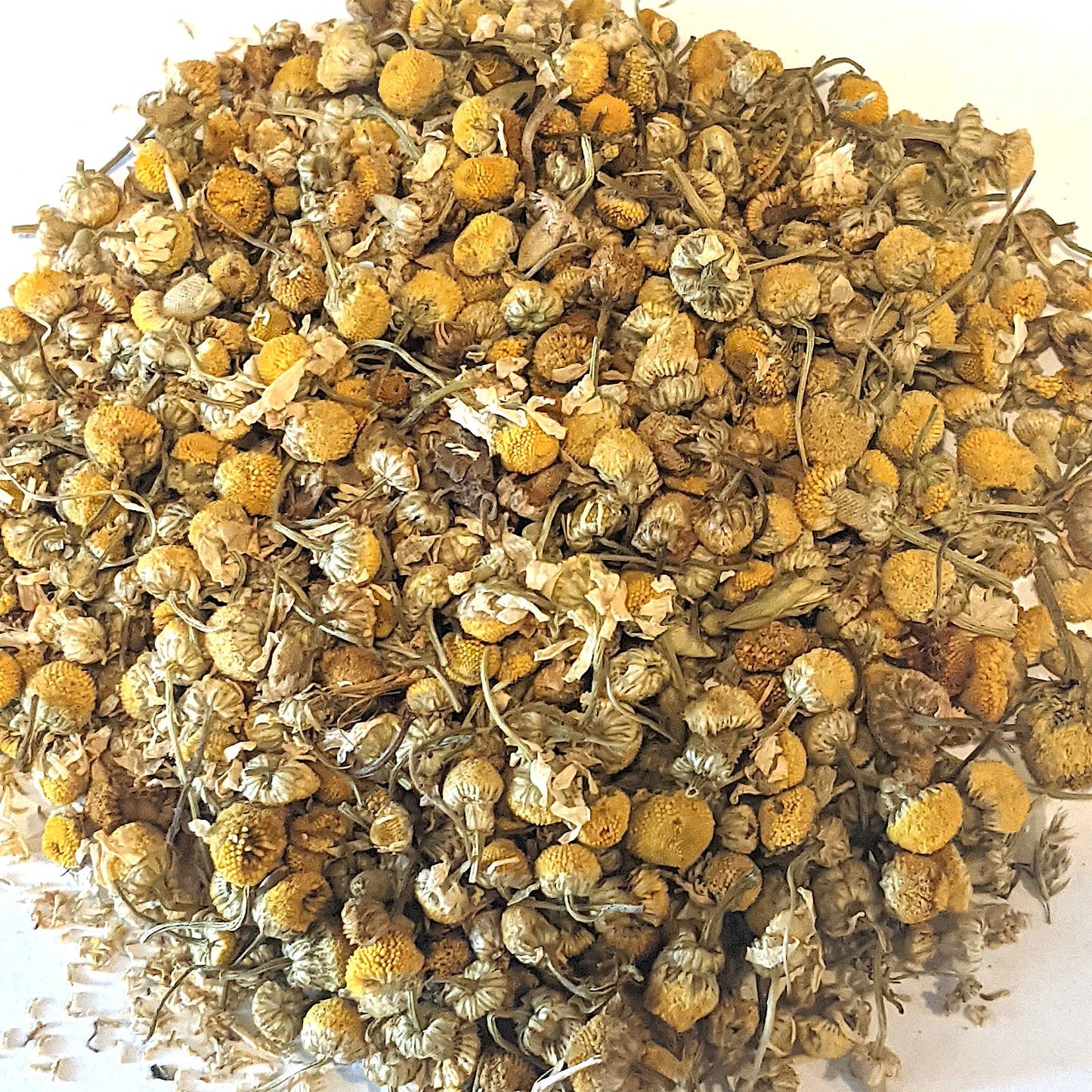 Chamomile (Matricaria recutita) Flower, Whole, Certified Organic: 1oz.