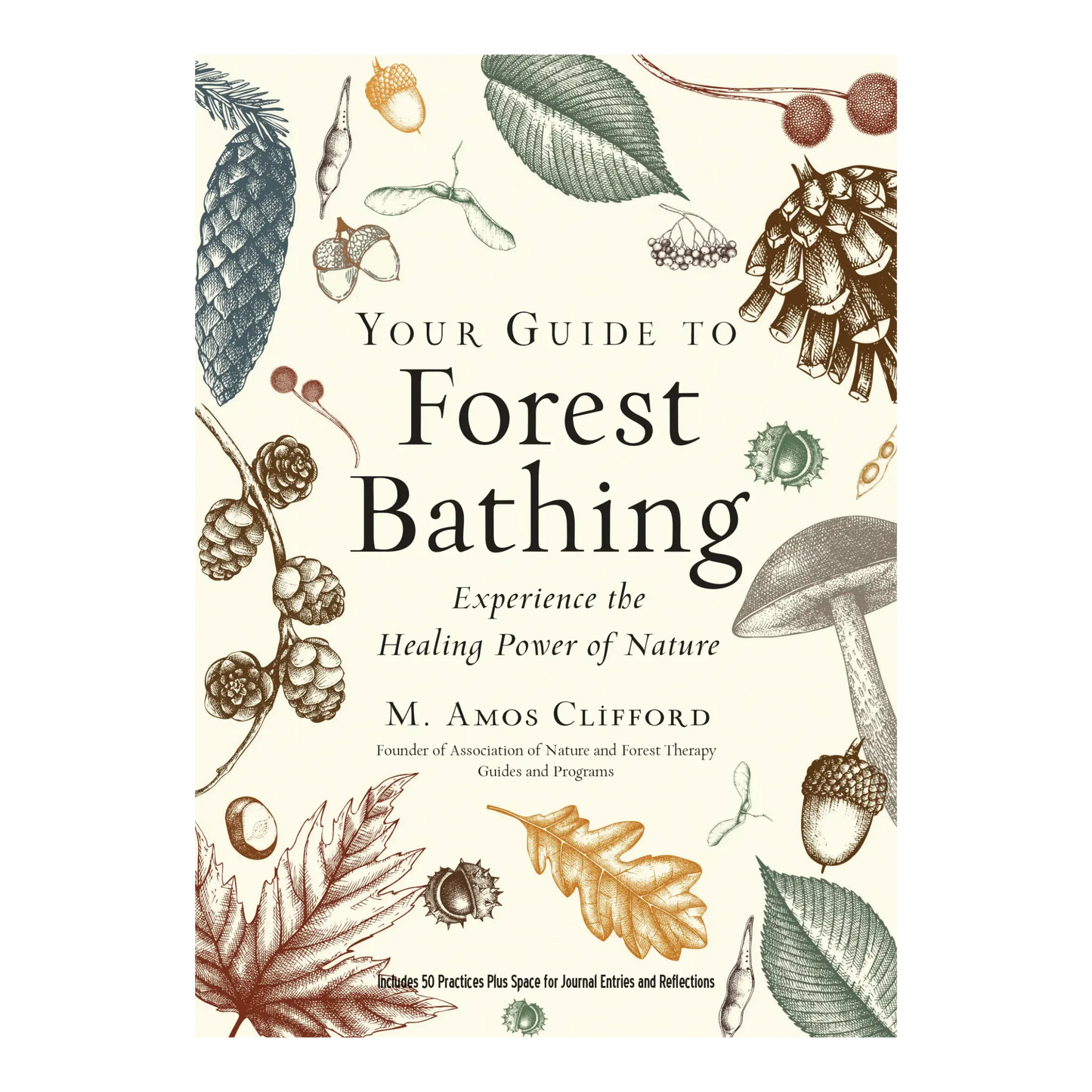 Your Guide to Forest Bathing: Expanded Edition