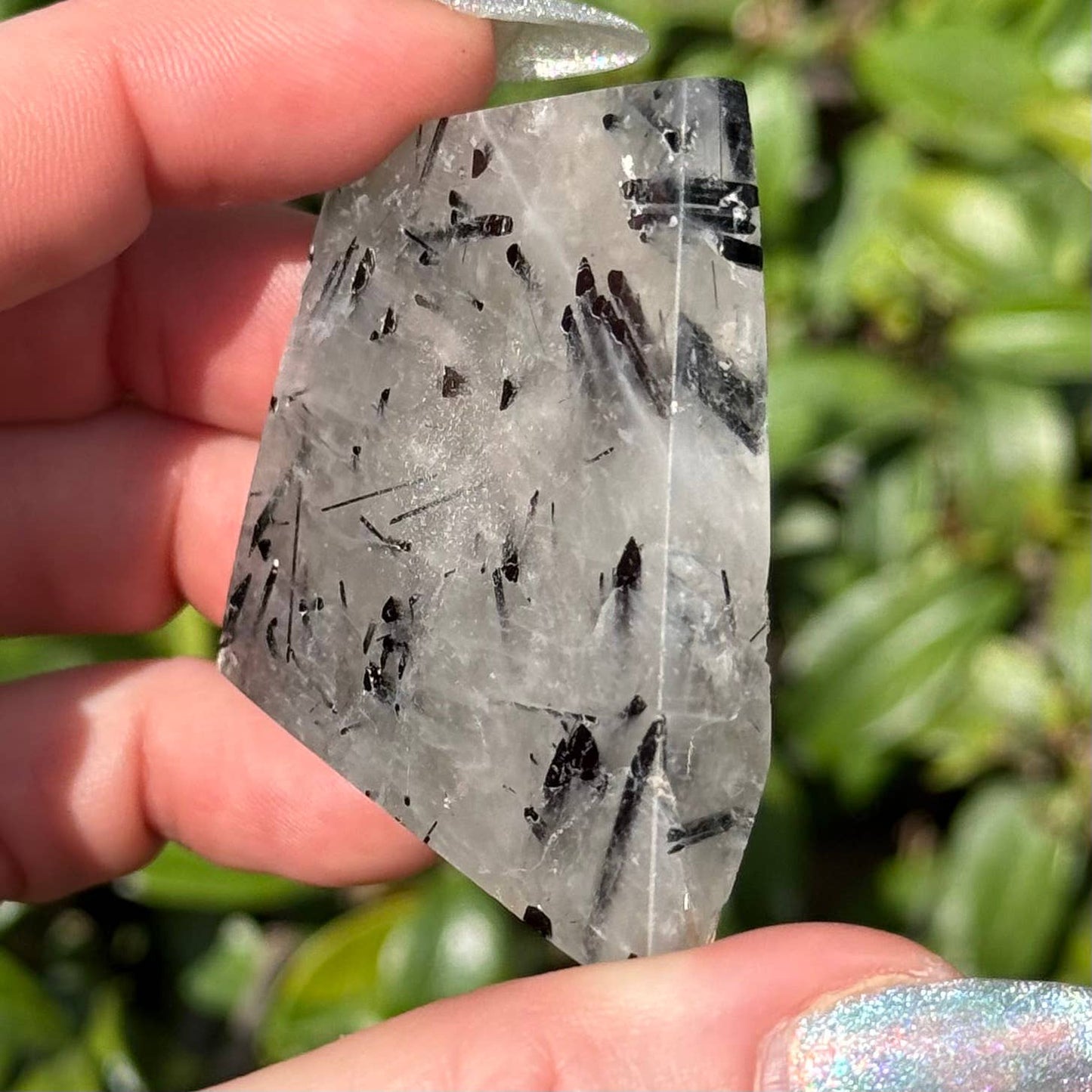 Tourmaline in Quartz Freeform
