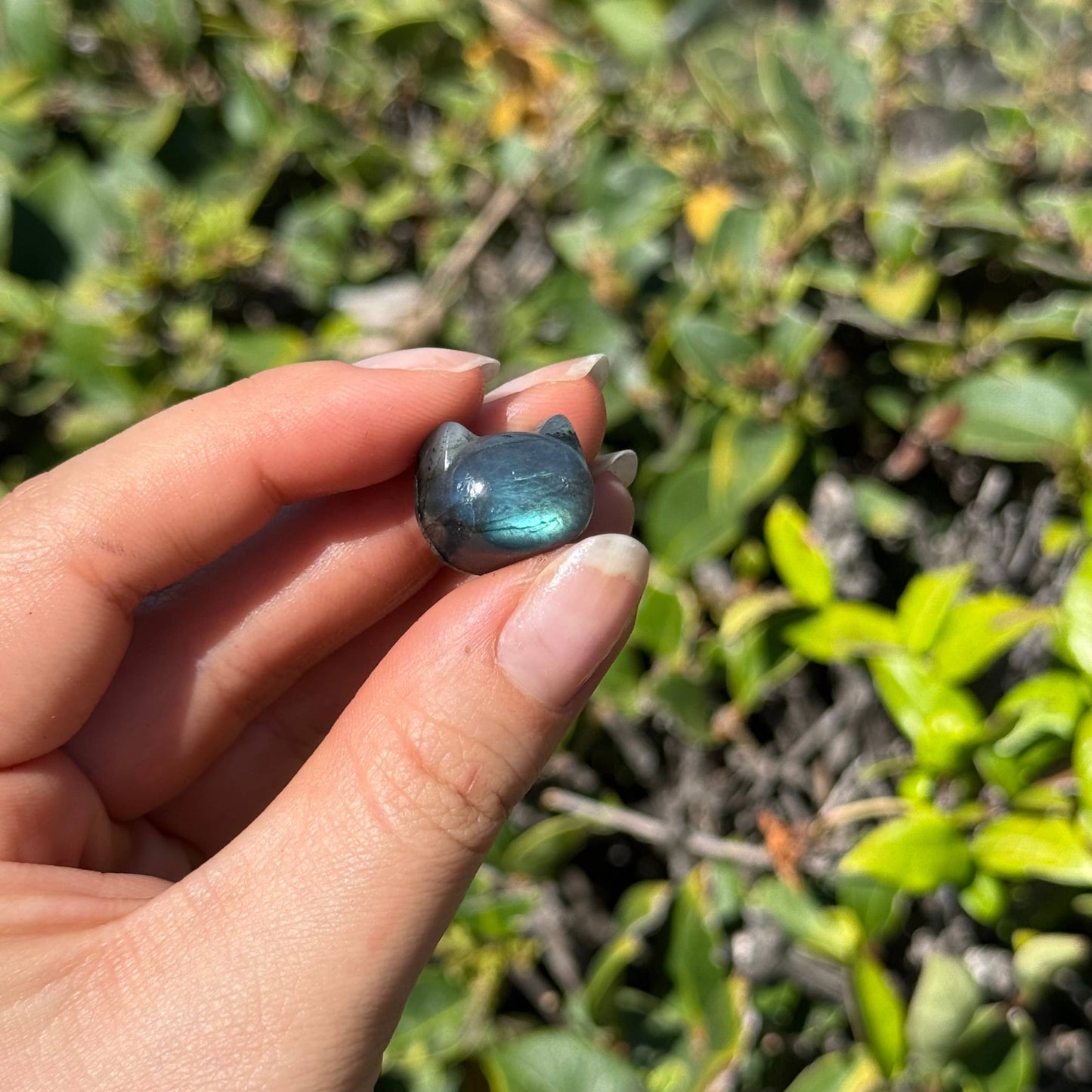 Mini Carved Labradorite Kitty
