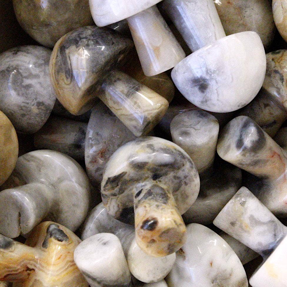 Crazy Lace Agate Mini Mushroom