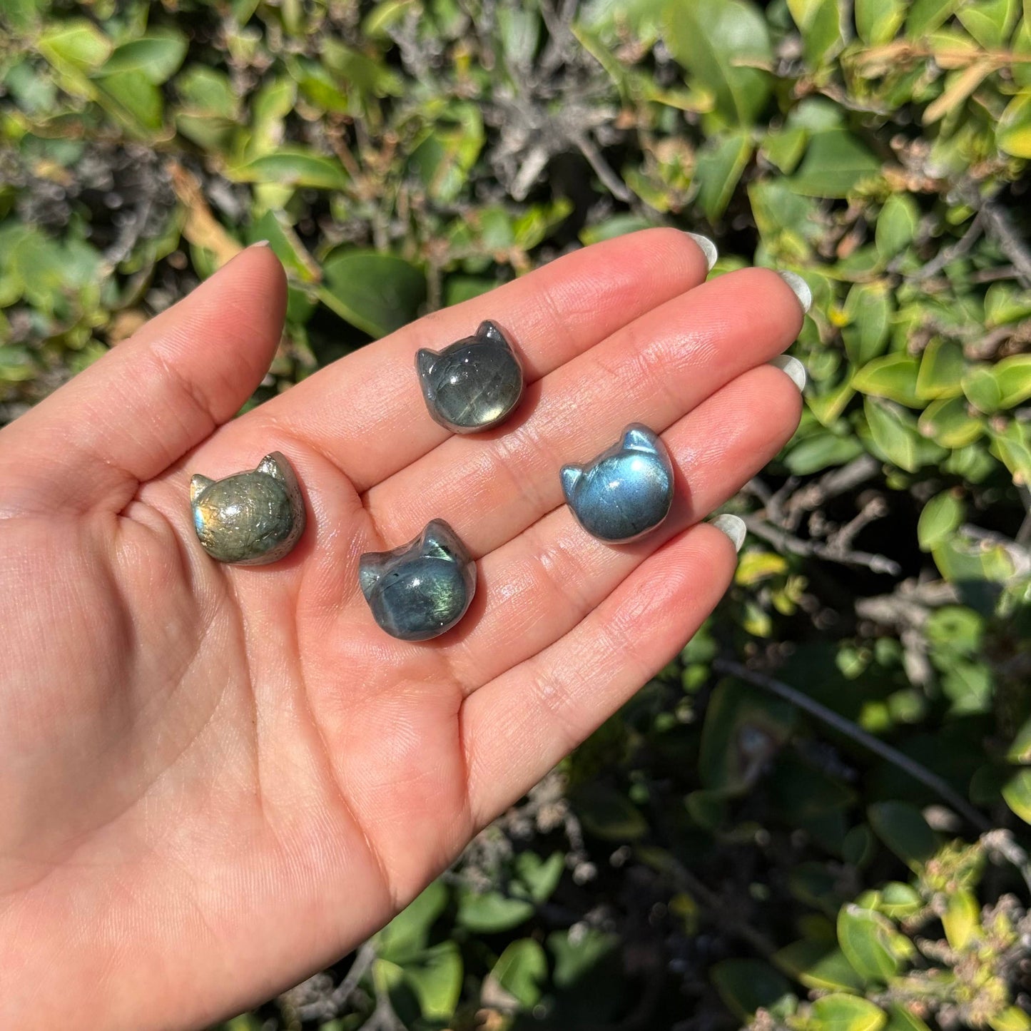 Mini Carved Labradorite Kitty