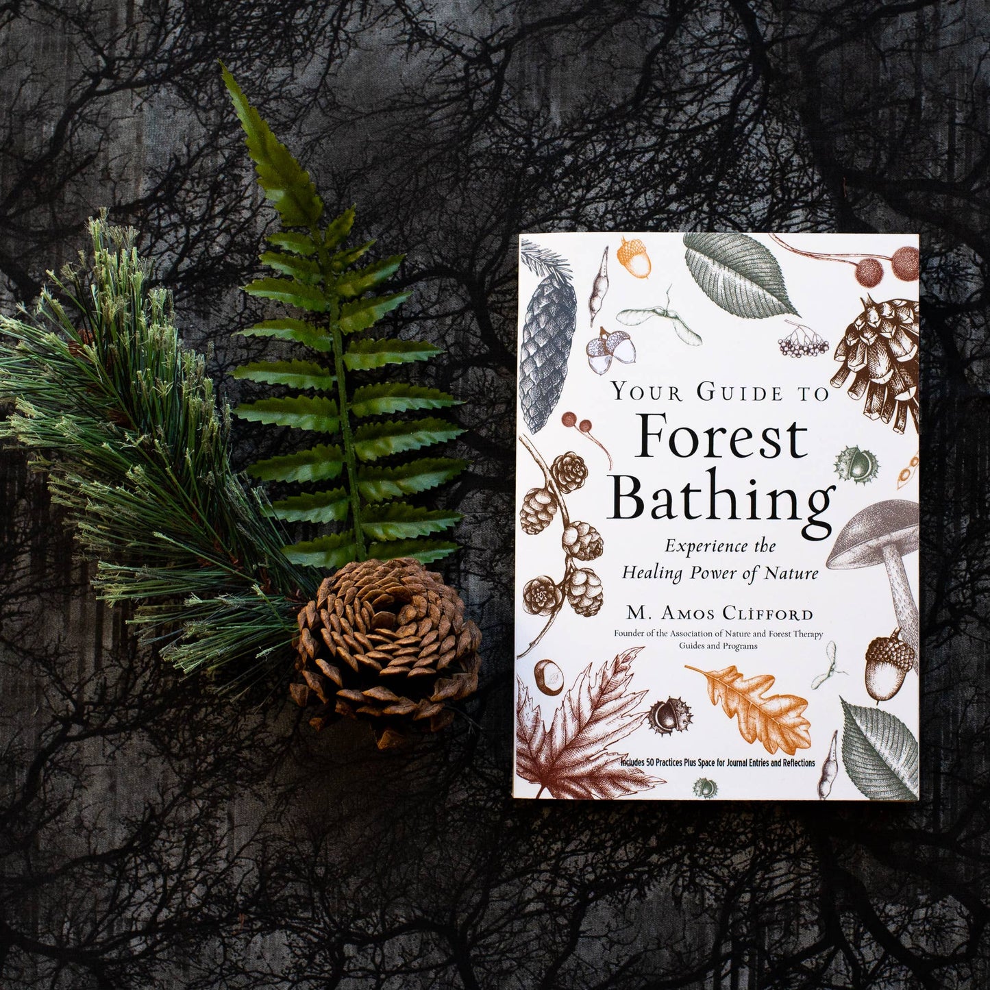 Your Guide to Forest Bathing: Expanded Edition